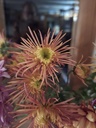 rn-image_picker_lib_temp_2642bb57-b1d5-45f9-90cd-e6c0dd4d0859.jpg