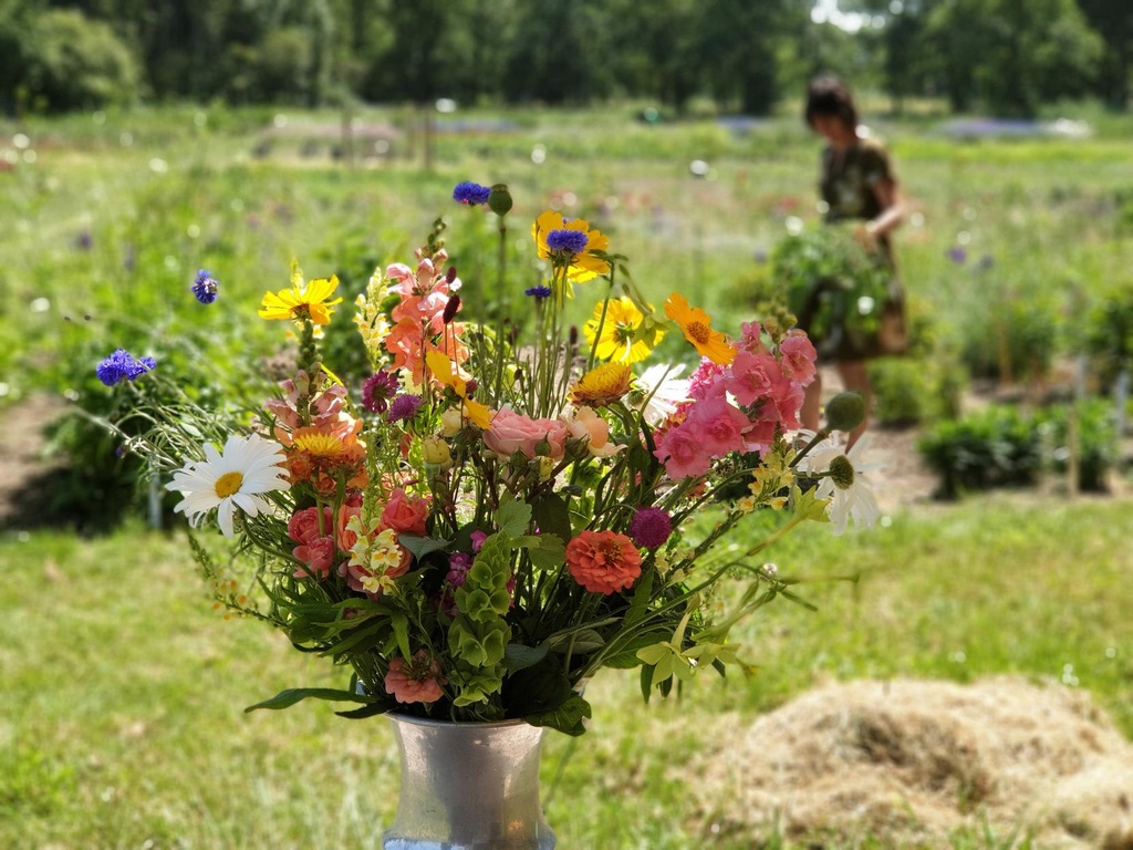 2019-06-2814.13.40.jpg