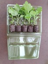 Verpackung_156c1723-30bd-4983-8b3f-ea91591bd000.jpg